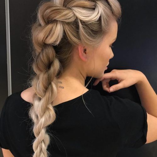 Curvy Braid Hairstyles And Long Tails (Photo 14 of 20)