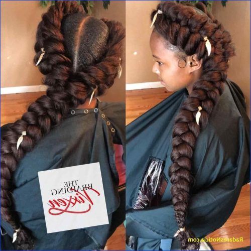French Braid Hairstyles With Ponytail (Photo 17 of 20)