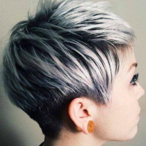 Grey Pixie Haircuts (Photo 10 of 20)