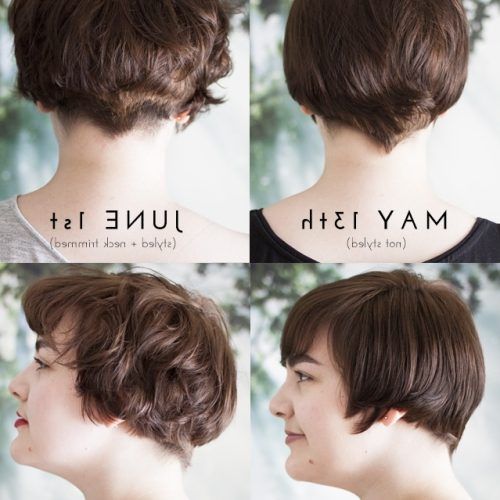 Growing-Out Pixie Haircuts For Curly Hair (Photo 6 of 15)