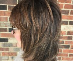 20 Best Collection of Long Feathered Shag Haircuts for Fine Hair