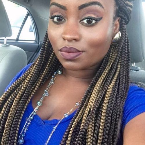 Poetic Justice Braids Hairstyles (Photo 11 of 15)