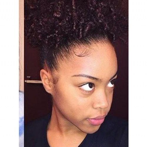 Pony Hairstyles For Natural Hair (Photo 4 of 20)