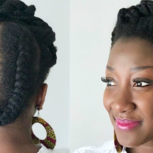 Quick Braided Hairstyles For Natural Hair (Photo 8 of 15)