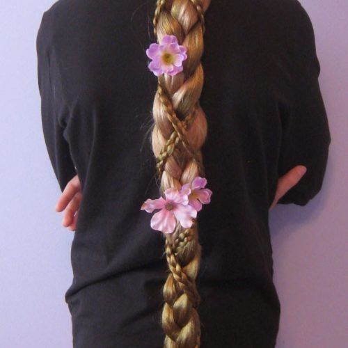Rapunzel Braids Hairstyles (Photo 15 of 15)