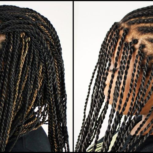 Senegalese Braided Hairstyles (Photo 10 of 15)