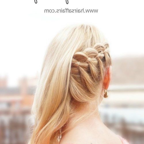 Side-Swept Braid Hairstyles (Photo 14 of 20)