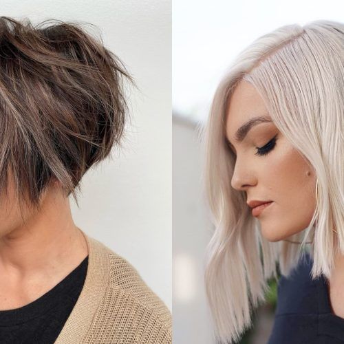 Super Short Inverted Bob Hairstyles (Photo 15 of 20)