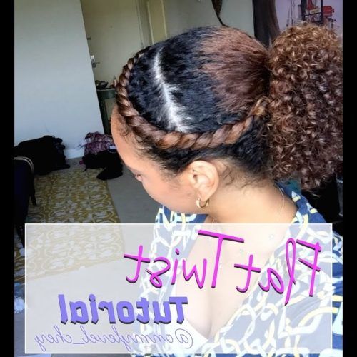 Twisted Front Curly Side Ponytail Hairstyles (Photo 8 of 20)
