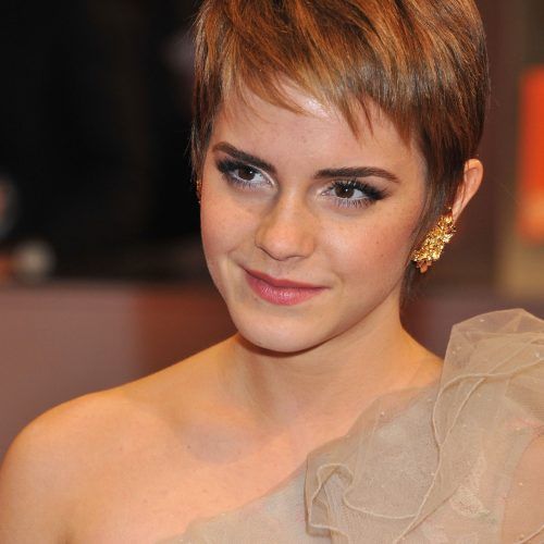 Very Short Pixie Haircuts With A Razored Side Part (Photo 5 of 20)