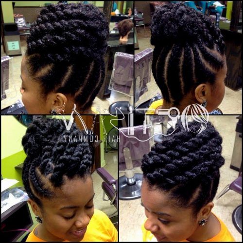 Braided Hairstyle With Jumbo French Braid (Photo 3 of 15)