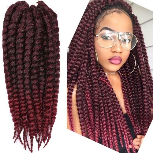 Braided Hairstyles With Color (Photo 13 of 15)