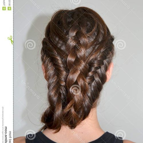 Braided Shoulder Length Hairstyles (Photo 14 of 20)