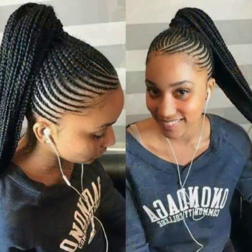 Cornrows Hairstyles With Ponytail (Photo 6 of 15)