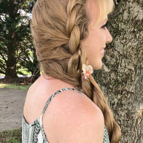 Double Rapunzel Side Rope Braid Hairstyles (Photo 4 of 20)