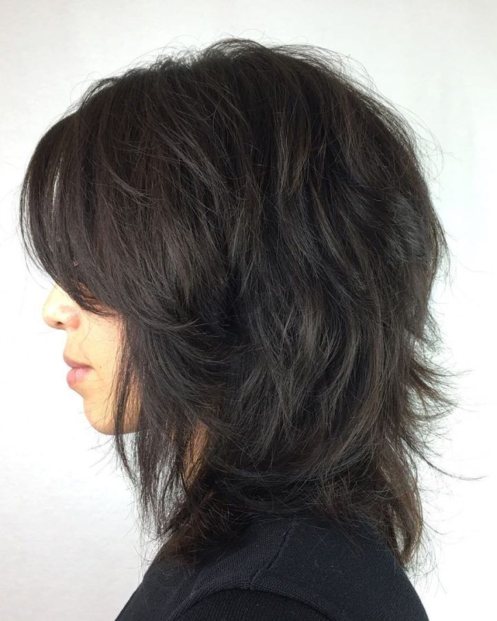 20 Best Ideas Feathered Black Shag Haircuts with Side Bangs