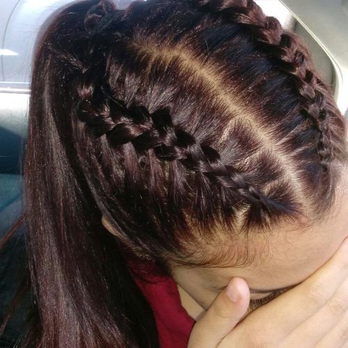 High Ponytail Feeder Braids, Small Braids In Between pertaining to Trendy High Ponytail Braided Hairstyles (Photo 220 of 292)