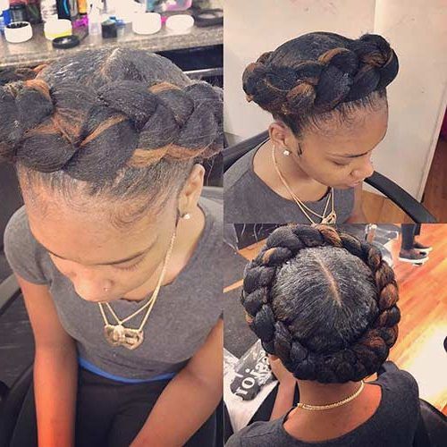 Intricate Braided Updo Hairstyles (Photo 15 of 20)