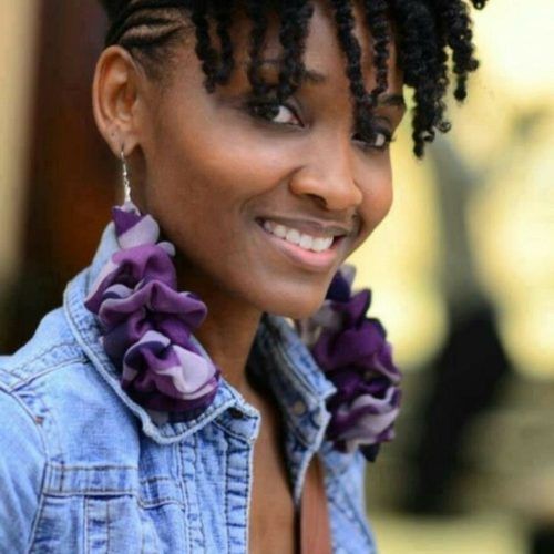 Lavender Braided Mohawk Hairstyles (Photo 17 of 20)