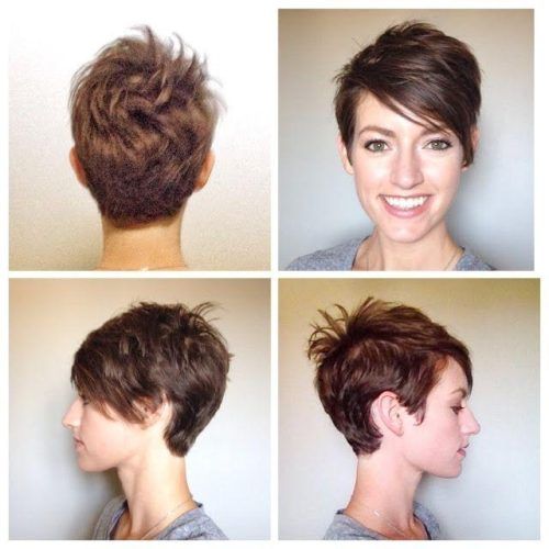 Long To Short Pixie Haircuts (Photo 16 of 20)