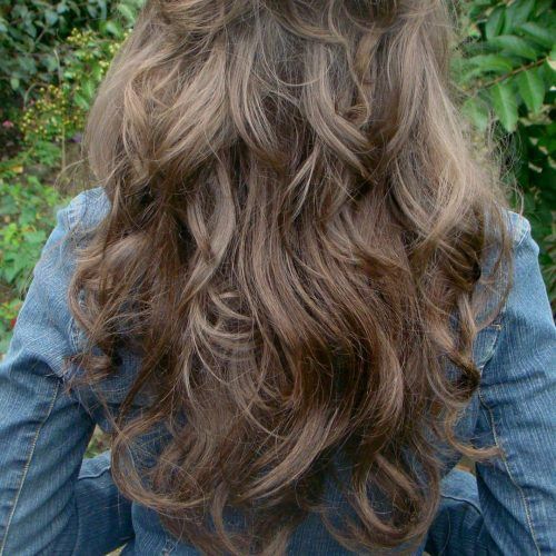 Ponytail Layered Long Hairstyles (Photo 18 of 20)