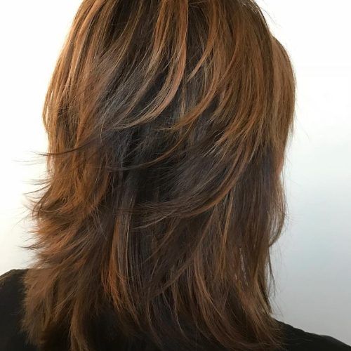 Short Obvious Layers Hairstyles For Long Hair (Photo 5 of 20)