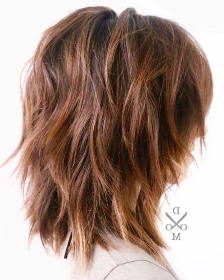 20 Best Ideas Shoulder-length Shag for Thick Hair