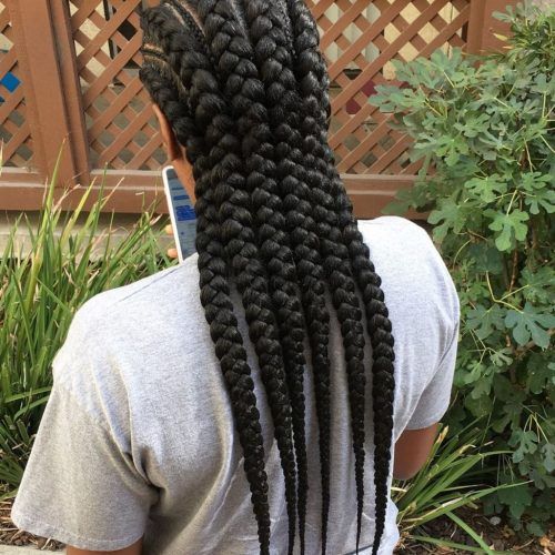 Thick And Thin Braided Hairstyles (Photo 6 of 20)