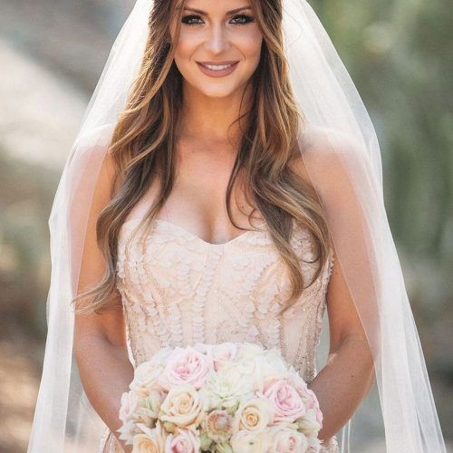 Wedding Hairstyles For Long Hair Down With Veil (Photo 3 of 15)