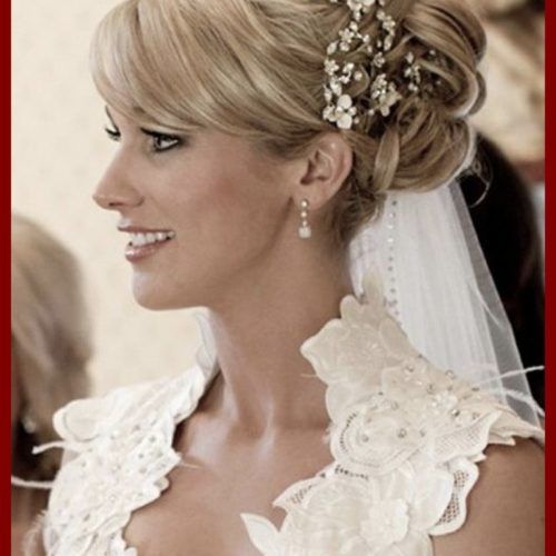 Wedding Hairstyles With Veil Underneath (Photo 11 of 15)