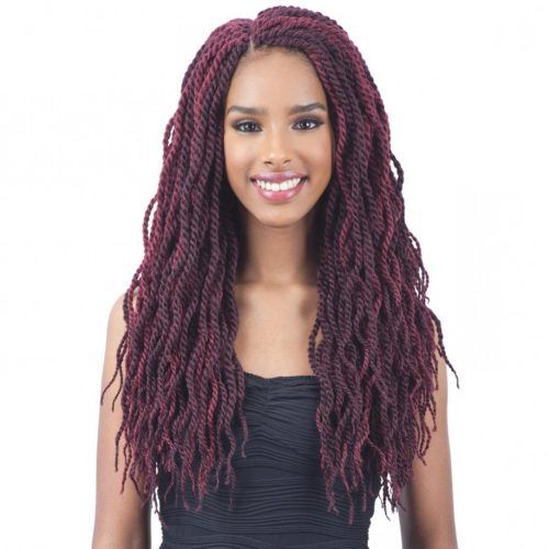 Wet And Wavy Micro Braid Hairstyles (Photo 10 of 20)