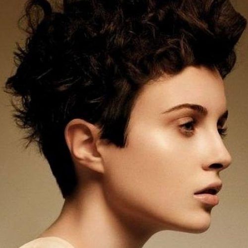 Short Hairstyles For Very Curly Hair (Photo 17 of 20)