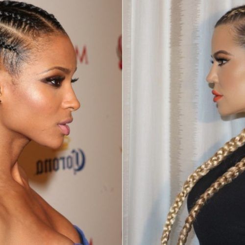 Cornrow Hairstyles For Long Hair (Photo 15 of 15)