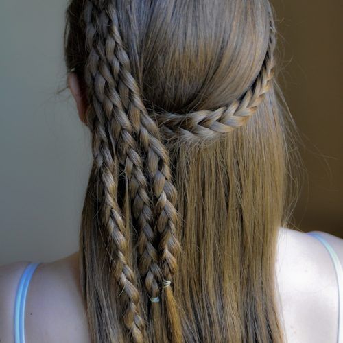 A Layered Array Of Braids Hairstyles (Photo 7 of 20)