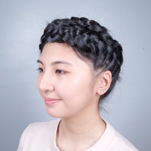 Angled Braided Hairstyles On Crimped Hair (Photo 14 of 20)