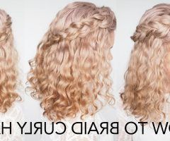 20 Collection of Braids with Curls Hairstyles