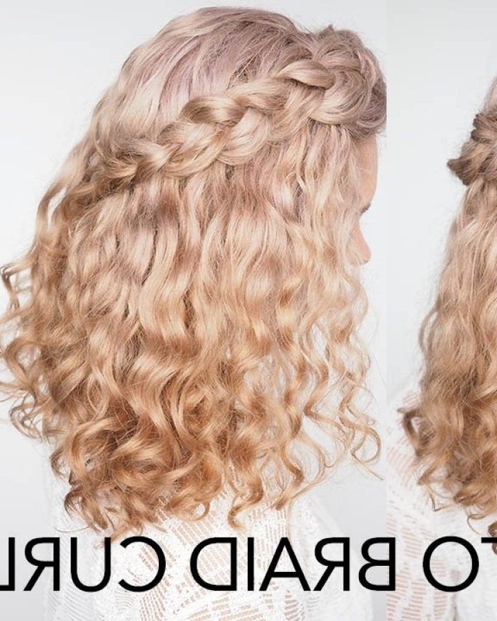 20 Collection of Braids with Curls Hairstyles