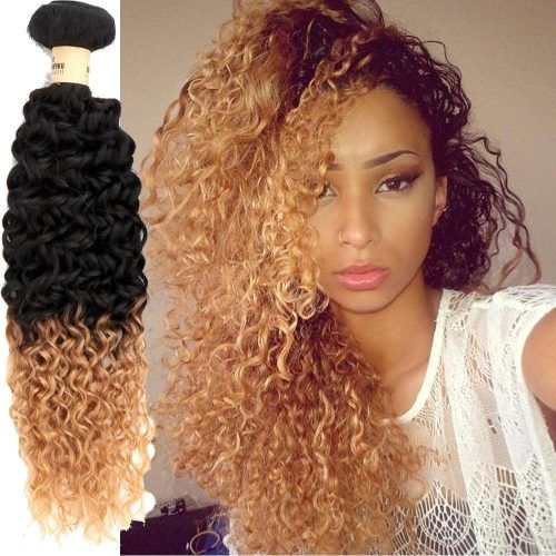 Brown To Blonde Ombre Curls Hairstyles (Photo 3 of 20)