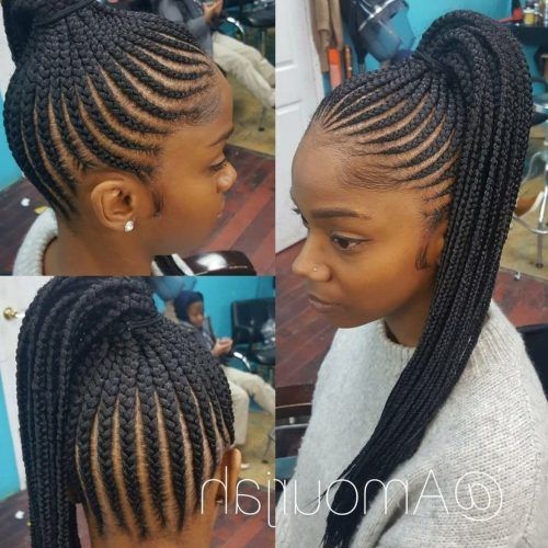 Chunky Black Ghana Braids Ponytail Hairstyles (Photo 7 of 20)