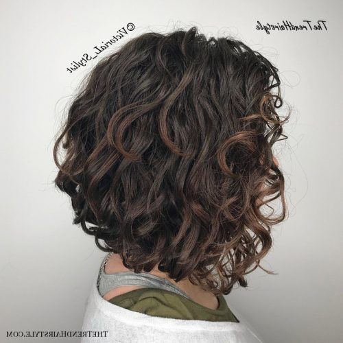 Deep Chocolate Curls Hairstyles With High Contrast Highlights (Photo 9 of 20)
