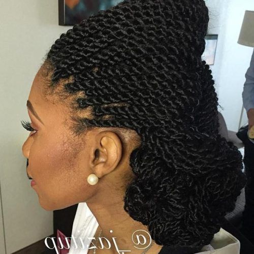 Dramatic Rope Twisted Braid Hairstyles (Photo 16 of 20)