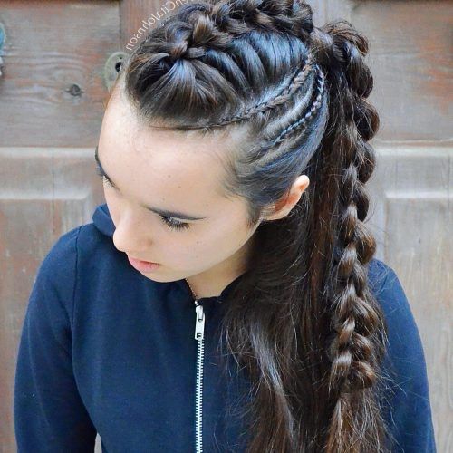 Fantastical French Braid Ponytail Hairstyles (Photo 5 of 20)