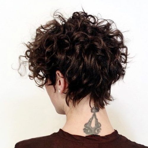 Long Curly Pixie Haircuts (Photo 10 of 15)