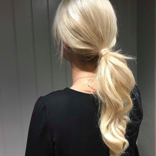 Low Ponytail Hairstyles (Photo 12 of 20)