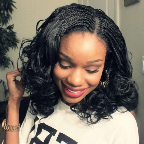 Micro Braids Hairstyles In Side Fishtail Braid (Photo 13 of 20)