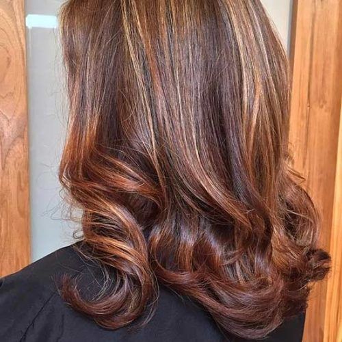 Natural Curls Hairstyles With Caramel Highlights (Photo 12 of 20)