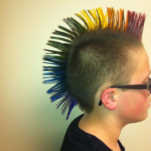 Rainbow Bright Mohawk Hairstyles (Photo 8 of 20)