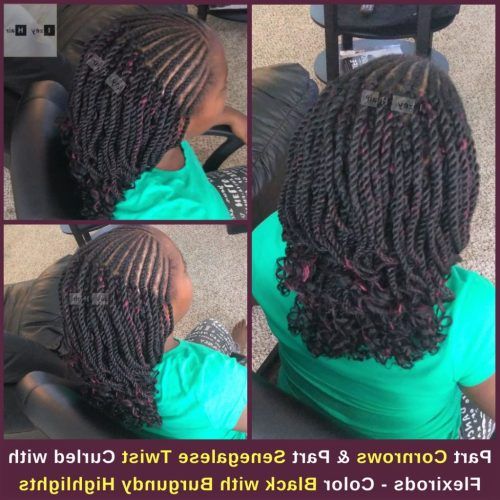 Side-Parted Micro Twist Hairstyles (Photo 14 of 20)