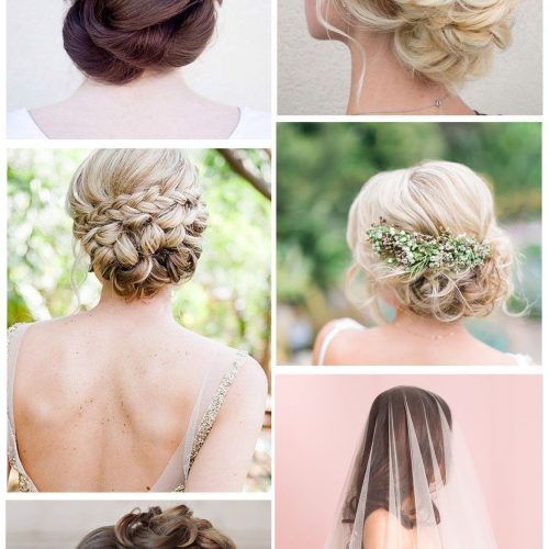 Tender Bridal Hairstyles With A Veil (Photo 6 of 20)