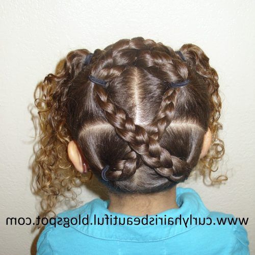 The Criss-Cross Ponytail Hairstyles (Photo 17 of 20)